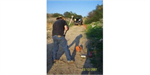 Borehole scanning